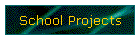School Projects