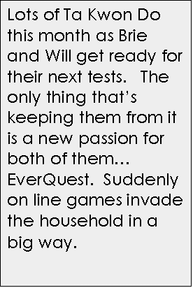 Text Box: Lots of Ta Kwon Do this month as Brie and Will get ready for their next tests.   The only thing thats keeping them from it is a new passion for both of them EverQuest.  Suddenly on line games invade the household in a big way.  
