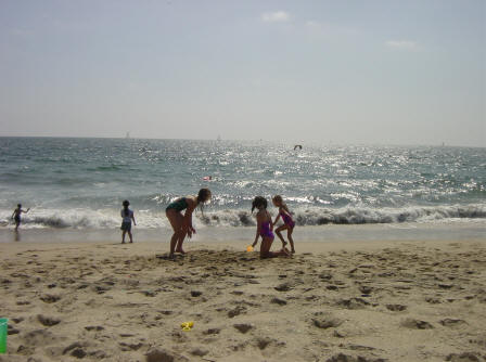 dsc06347.jpg