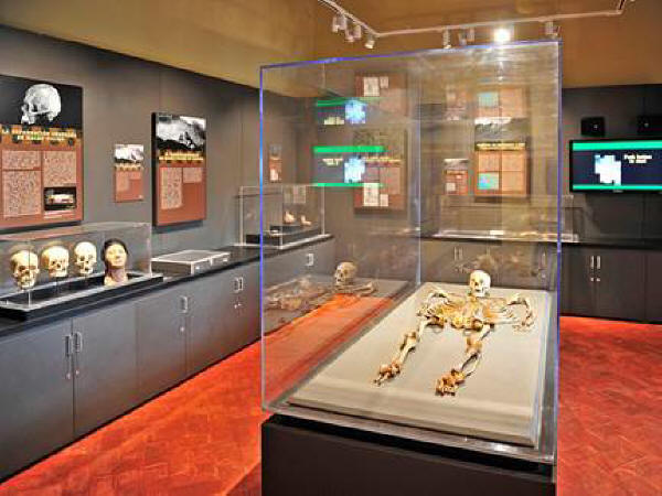 LA MUSEOGRAFÍA EN CUSCO: DIFERENTES MUSEOS, DIFERENTES NARRATIVAS